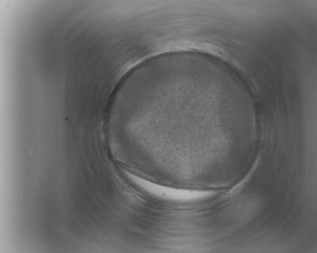 X0000063481497200602031912