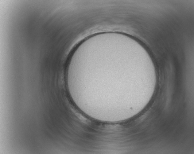 X0000063481498200602031912