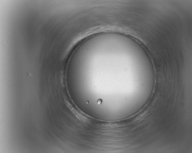 X0000063481499200602031912