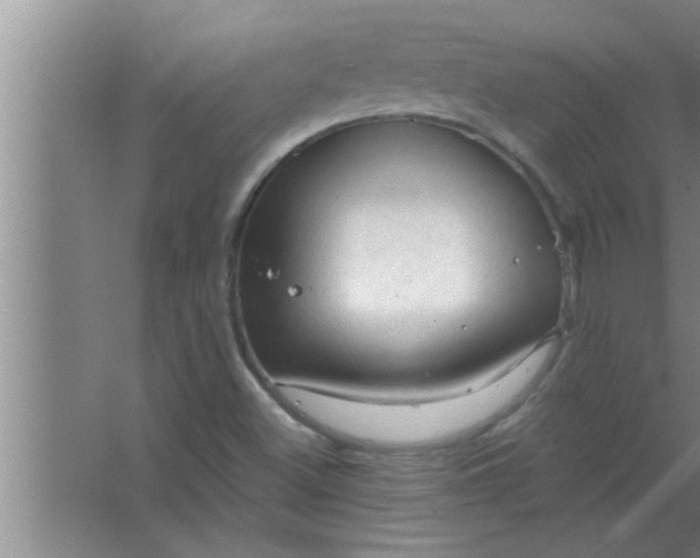 X0000063481500200602031912