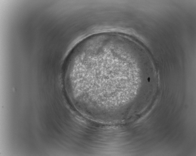 X0000063481501200602031912