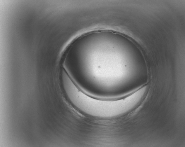 X0000063481502200602031912