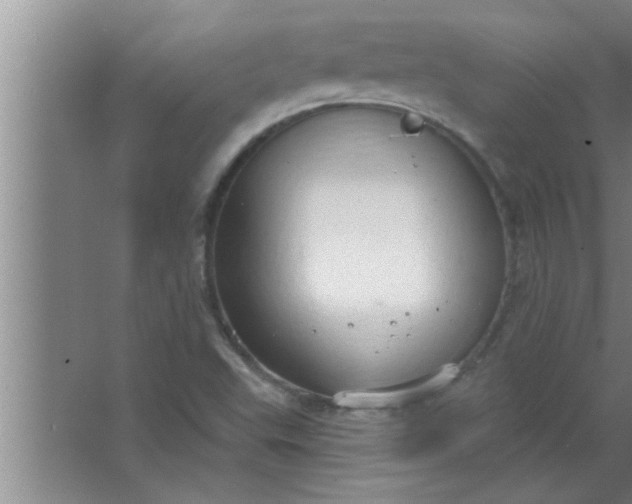 X0000063481503200602031912