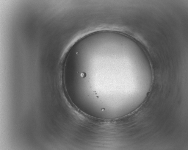 X0000063481504200602031912