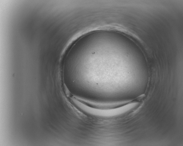 X0000063481506200602031912