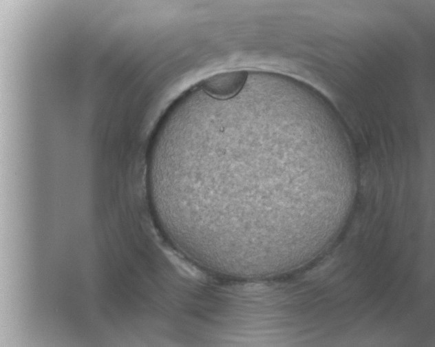 X0000063481507200602031912