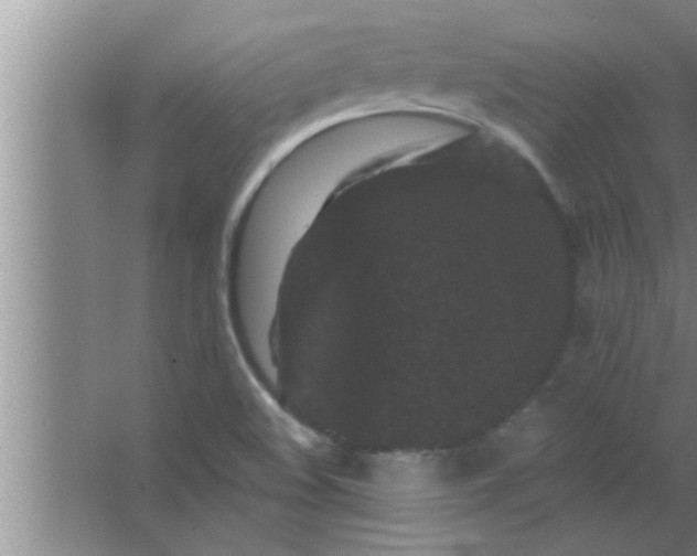 X0000063481508200602031912