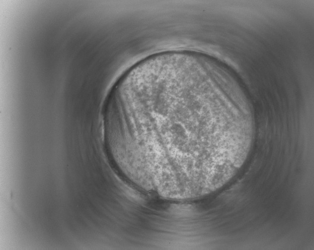 X0000063481509200602031912