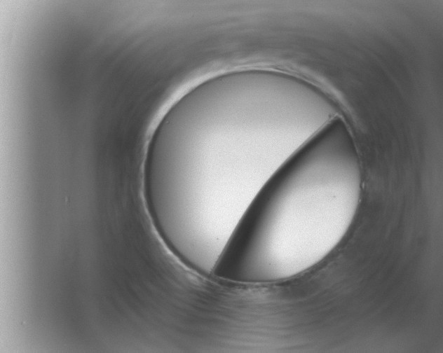 X0000063481512200602031912