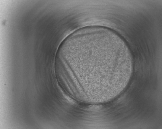 X0000063481513200602031912