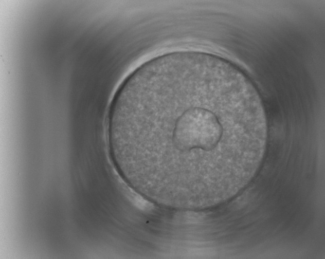 X0000063481514200602031912