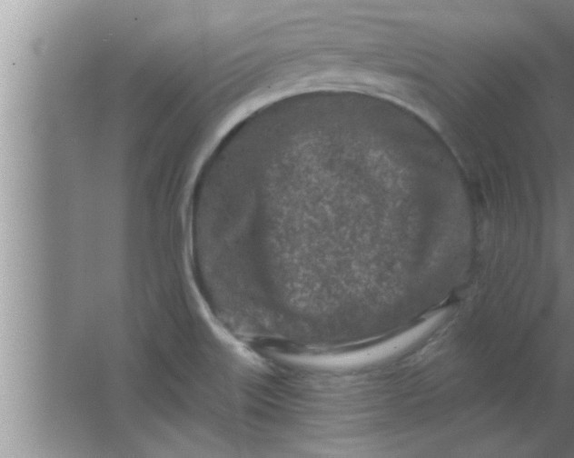 X0000063481515200602031912