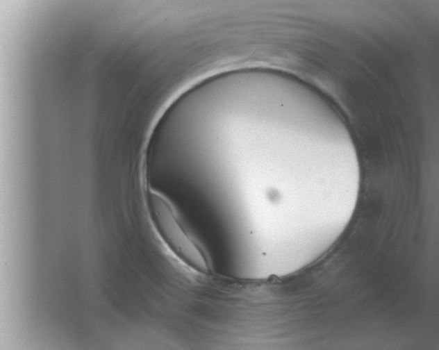 X0000063481516200602031912