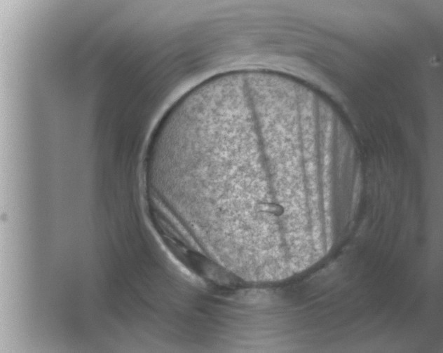 X0000063481517200602031912