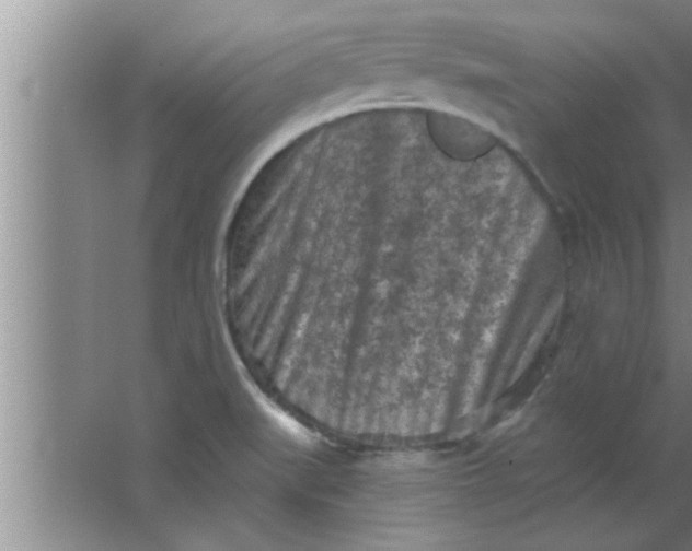 X0000063481519200602031912