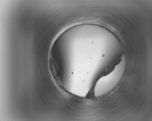 X0000063481520200602031912