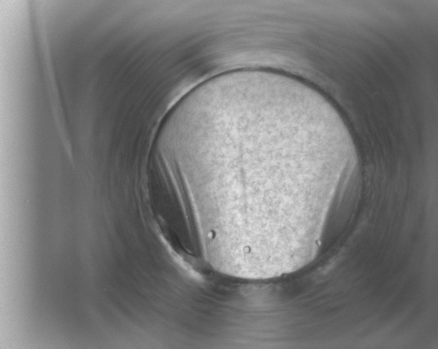 X0000063481521200602031912