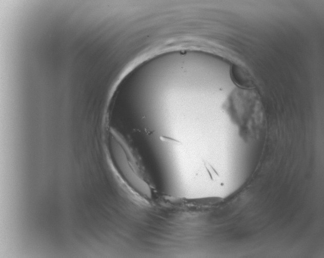 X0000063481522200602031912