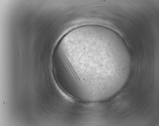 X0000063481523200602031912