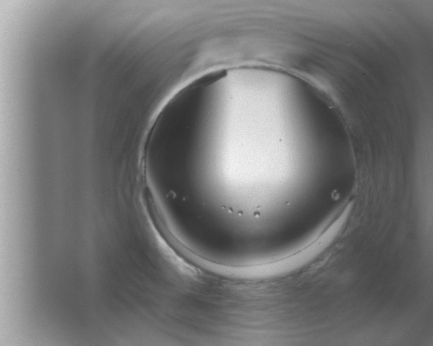 X0000063481524200602031912