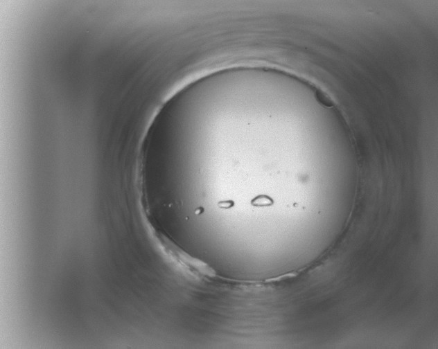 X0000063481526200602031912