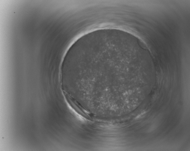 X0000063481527200602031912