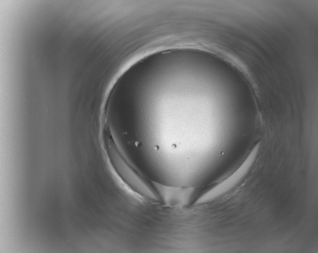 X0000063481528200602031912