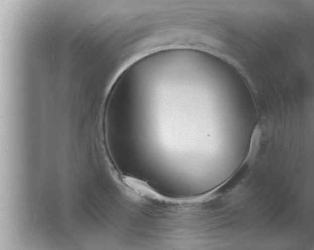 X0000063481530200602031912