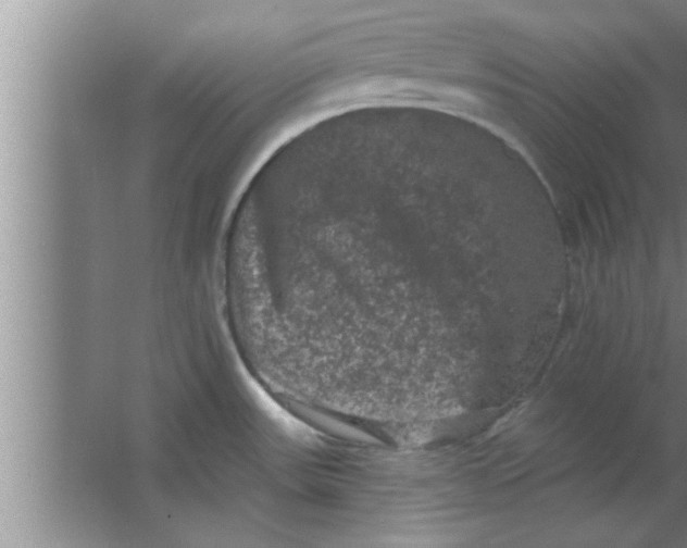 X0000063481531200602031912