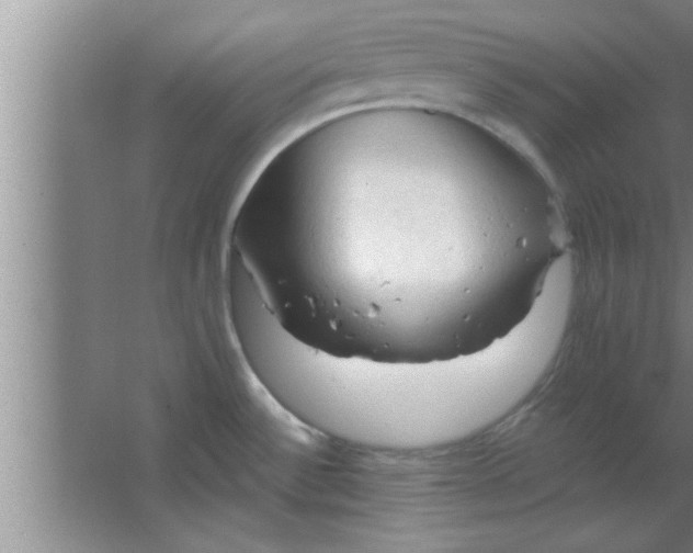 X0000063481532200602031912