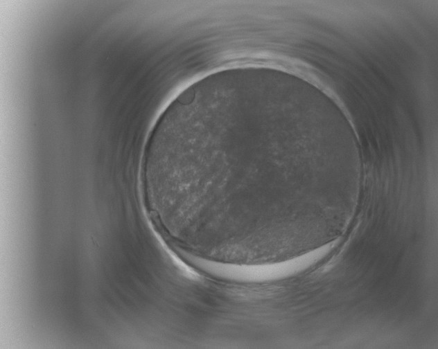 X0000063481533200602031912