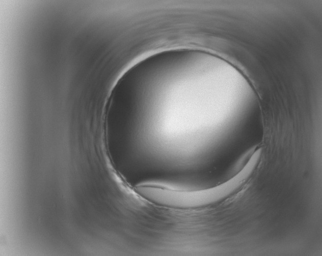 X0000063481534200602031912