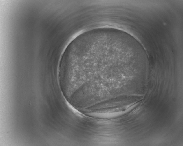 X0000063481535200602031912