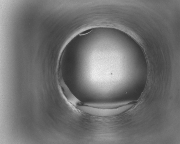 X0000063481536200602031913