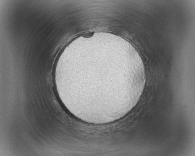 X0000063480002200602101818