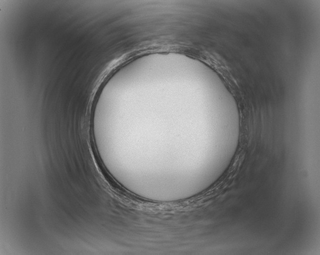 X0000063480003200602101818