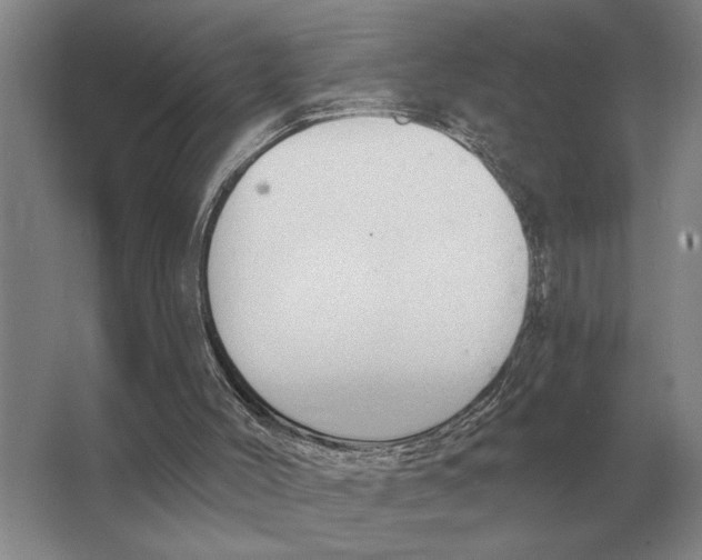 X0000063480004200602101818