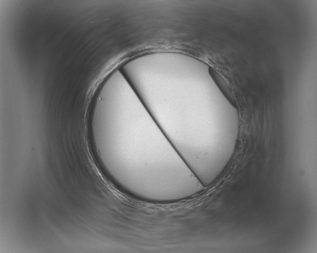 X0000063480005200602101818
