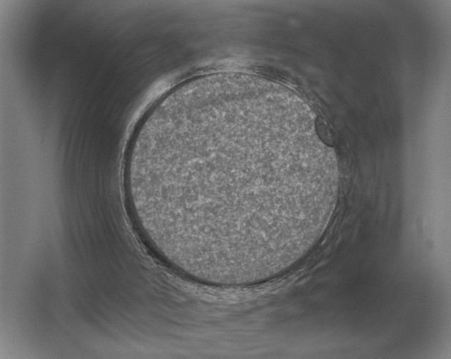 X0000063480006200602101818