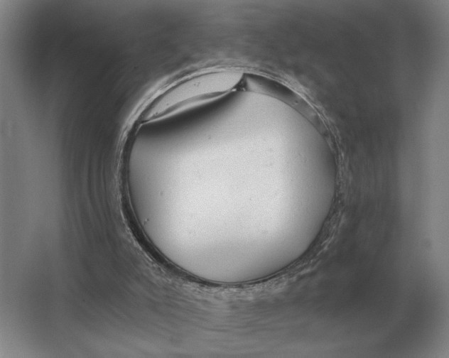 X0000063480007200602101818