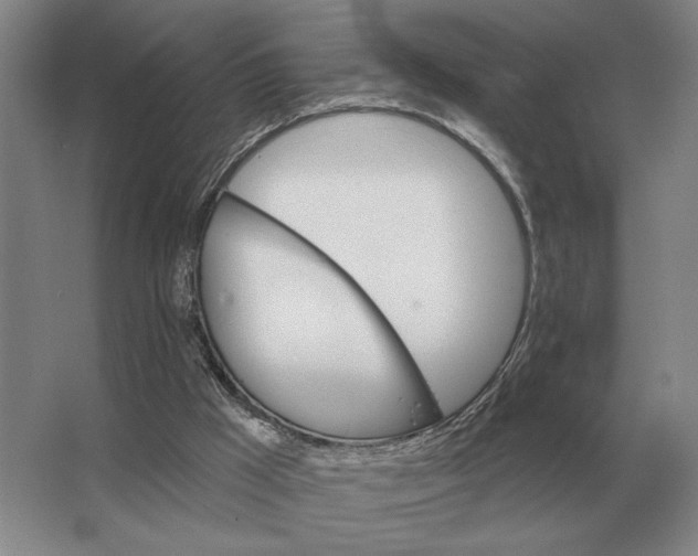 X0000063480009200602101818