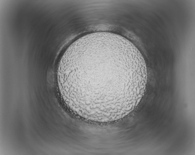 X0000063480012200602101818