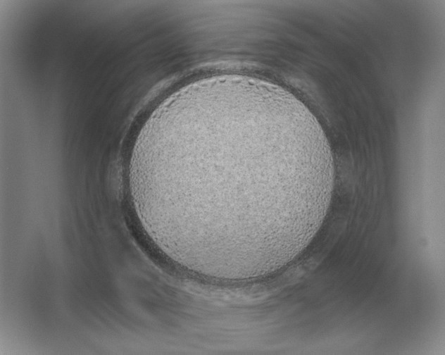 X0000063480016200602101818