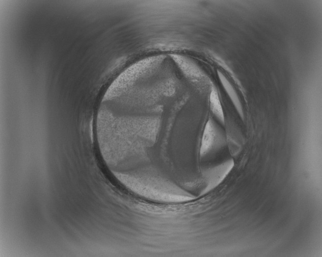 X0000063480019200602101818