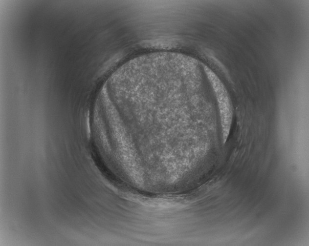 X0000063480020200602101818