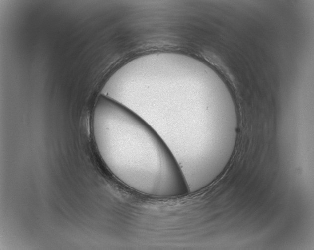 X0000063480021200602101818
