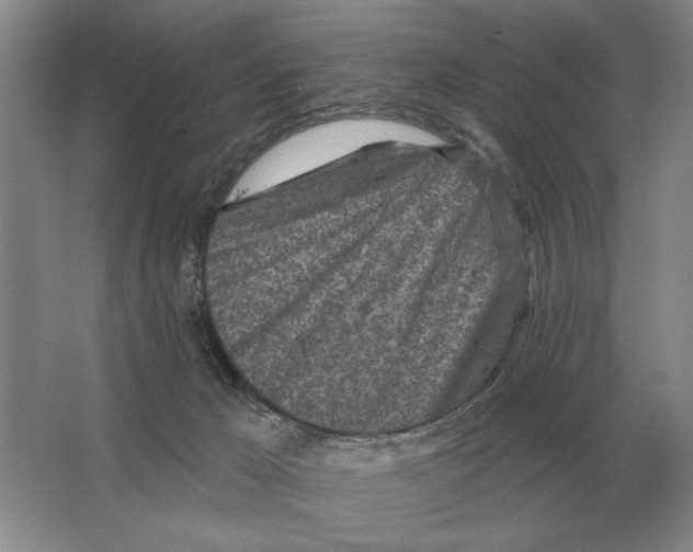 X0000063480029200602101818