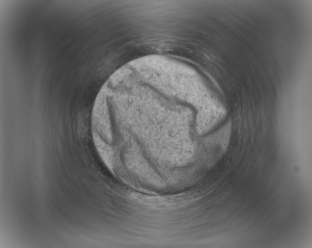 X0000063480030200602101818