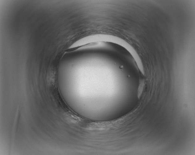 X0000063480033200602101818