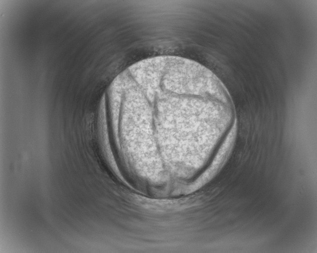 X0000063480034200602101818